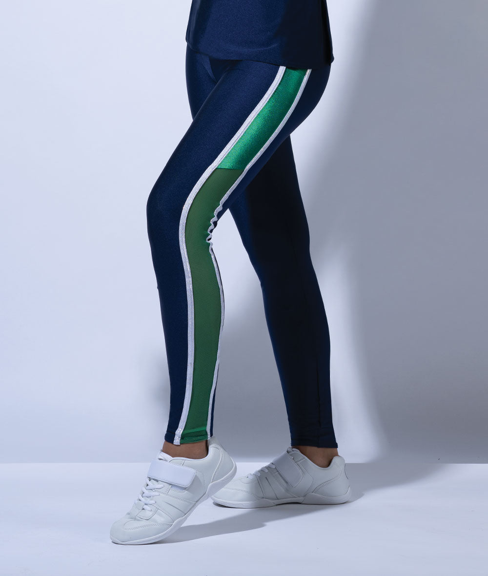 アウィッシュカムトゥルー ダンス衣装 メッシュのサイドストライプレギンス A Wish Come True Mesh Side Stripe Leggings