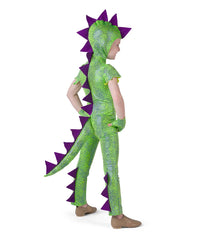 a-wish-come-true-dinosaurs-go-rawr-boy-media-1