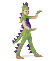a-wish-come-true-dinosaurs-go-rawr-boy-media-0
