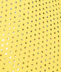 a-wish-come-true-sequin-dot-guy-shirt-media-4
