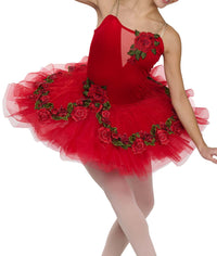 a-wish-come-true-platter-tutu-media-2