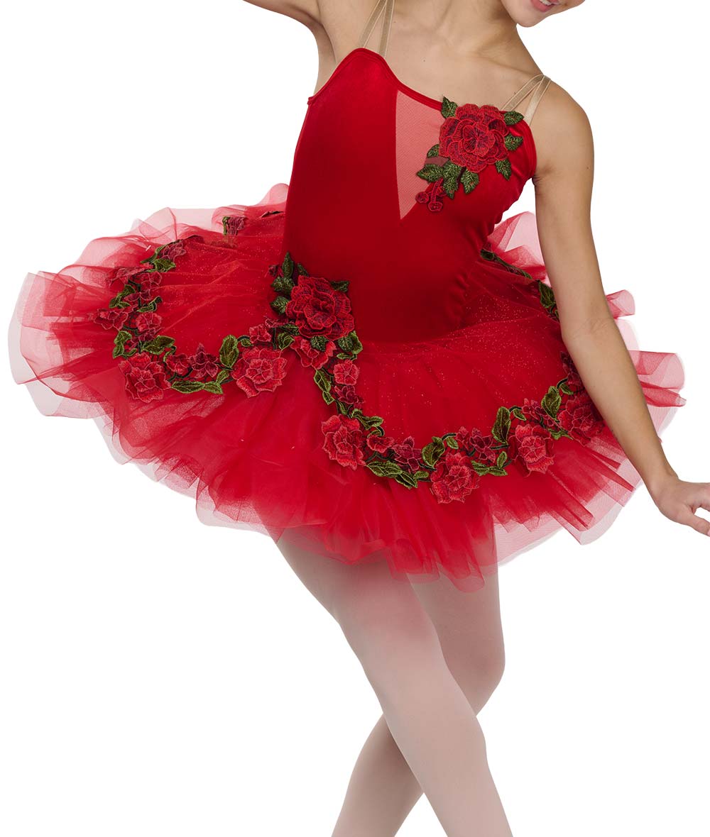 a-wish-come-true-platter-tutu-media-2