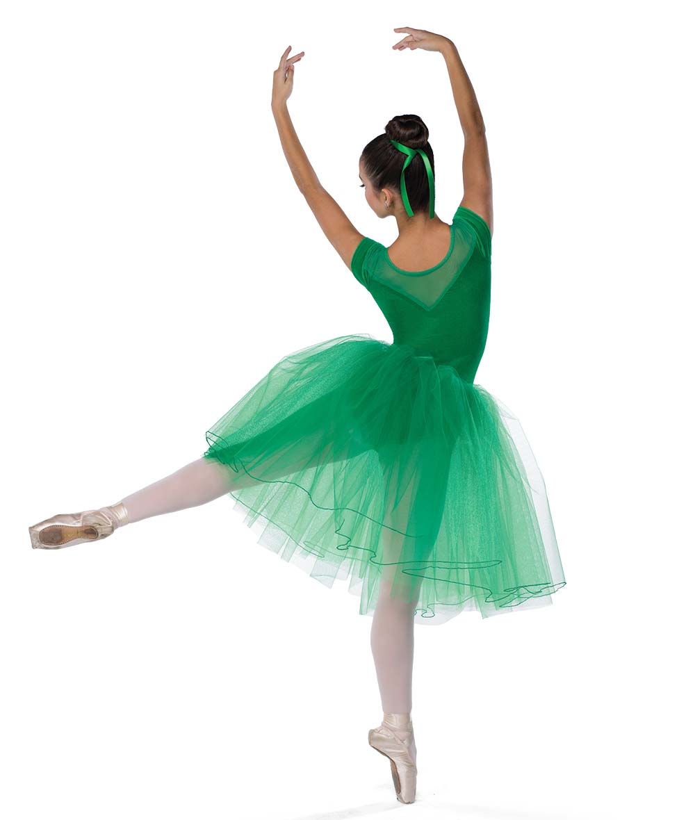 アウィッシュカムトゥルー ダンス衣装 バレエ メヌエット全6色 A Wish