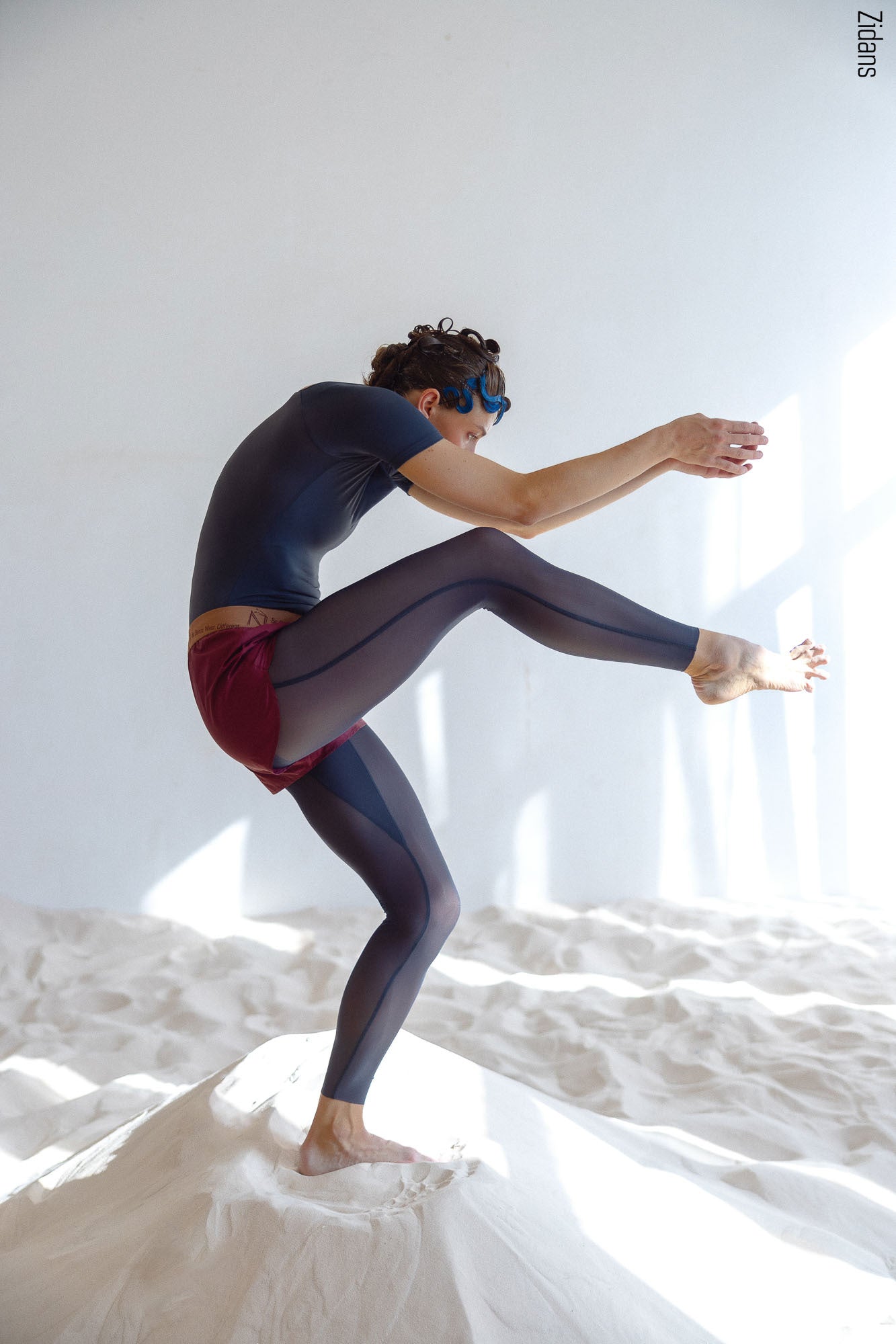 ジダンス T-レオタード ZIDANS T-Leotard – 輸入バレエ用品専門店