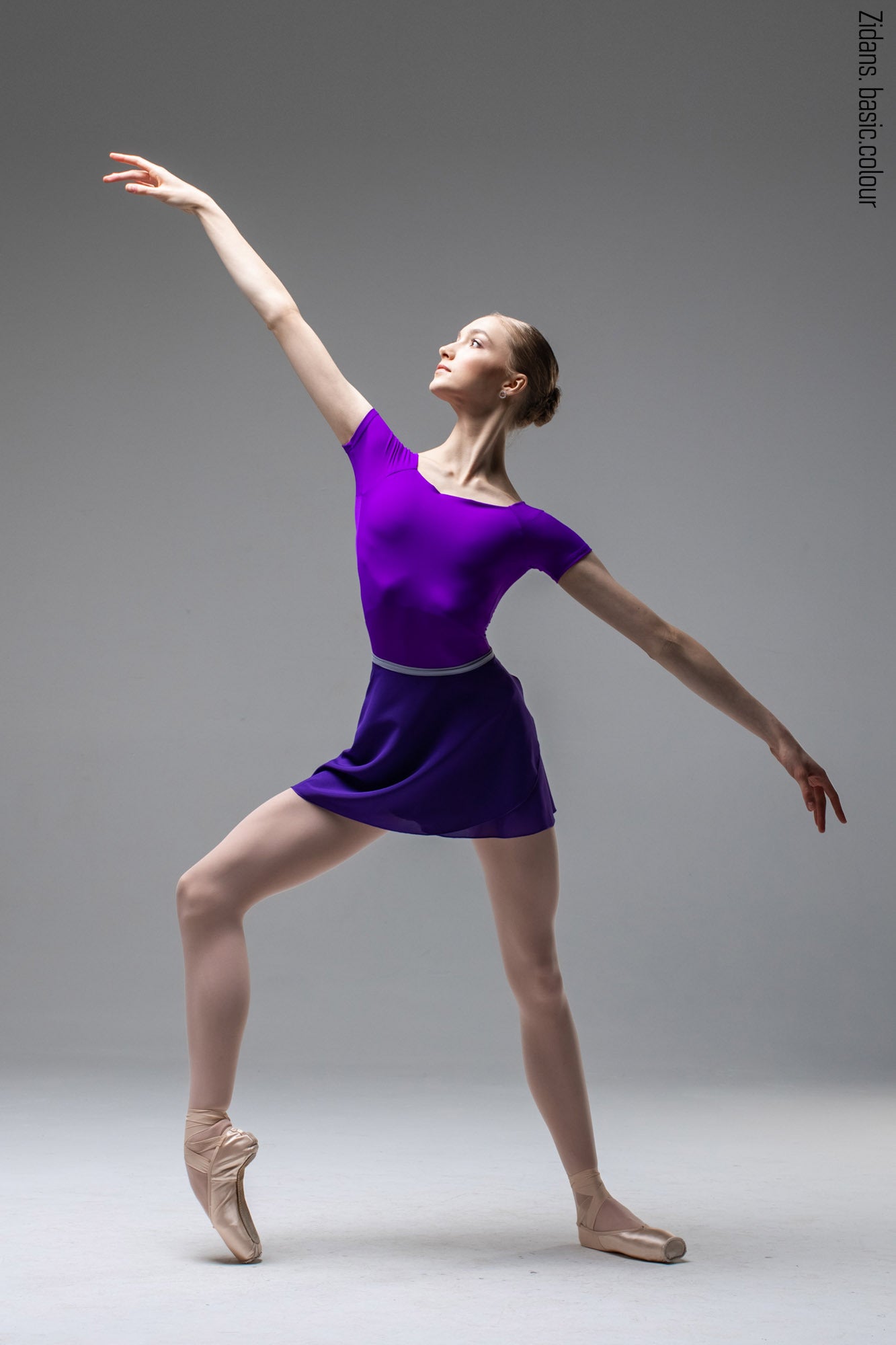 ジダンス T-レオタード ZIDANS T-Leotard Violet – 輸入バレエ用品専門