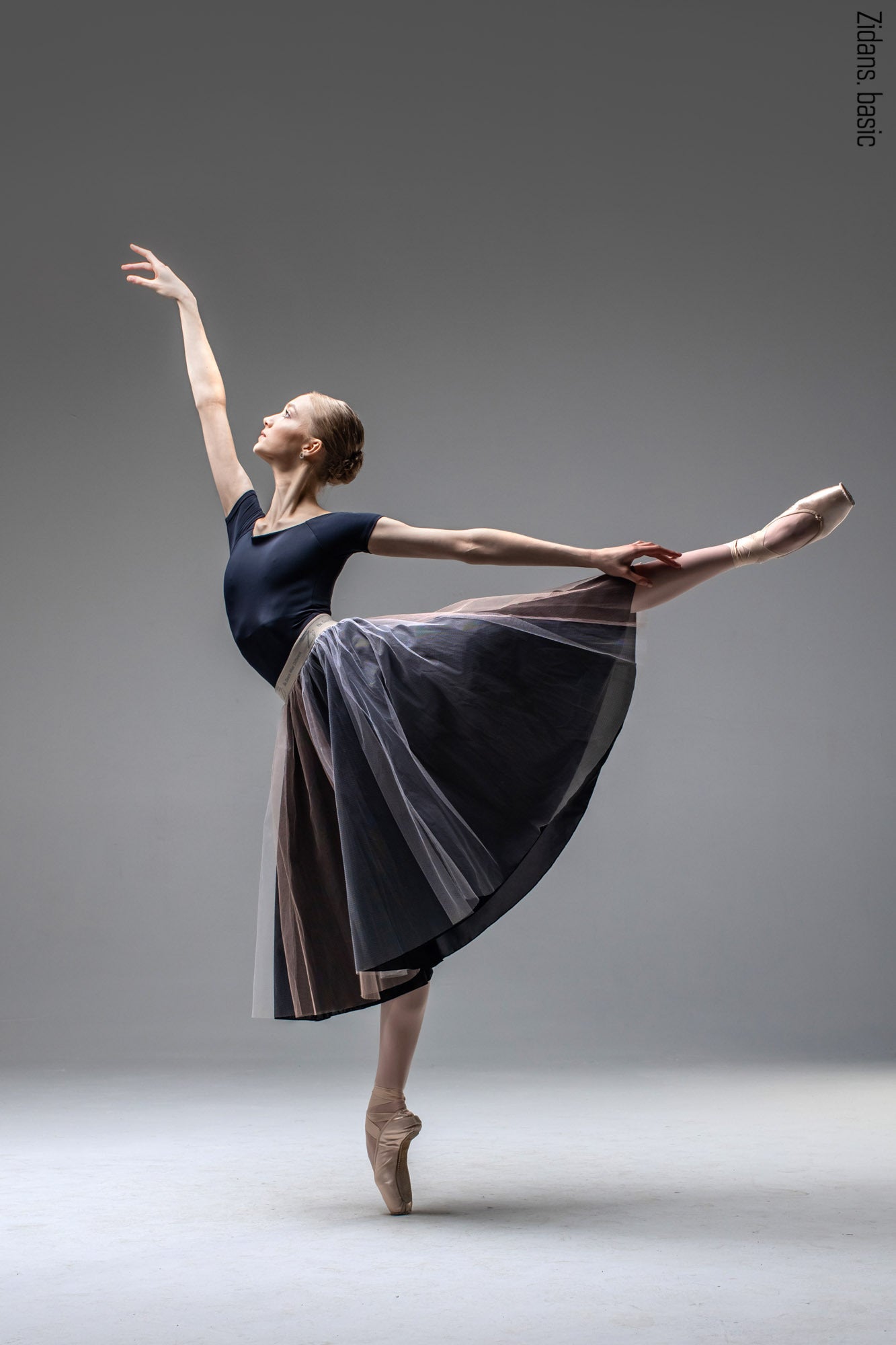 ジダンス T-レオタード ZIDANS T-Leotard Black – 輸入バレエ用品専門