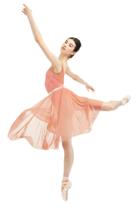 ゲイナーミンデン リラ スーパー 8.5 M ゲイナーミンデン リラ スーパー 8.5 M