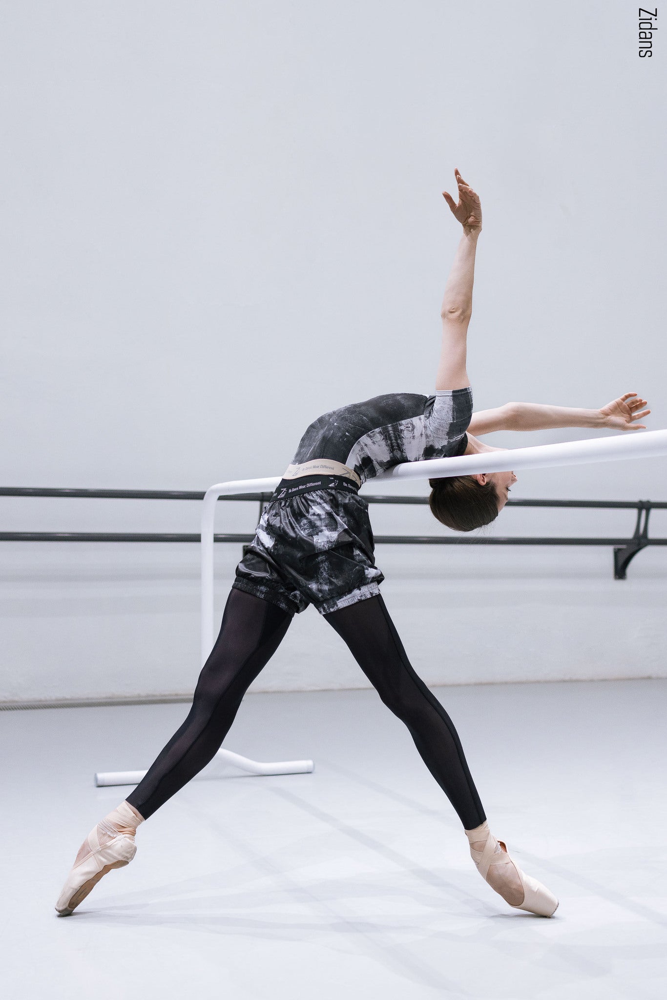 ジダンス ラグランジップ T-レオタード（在庫商品） ZIDANS Raglan Zip