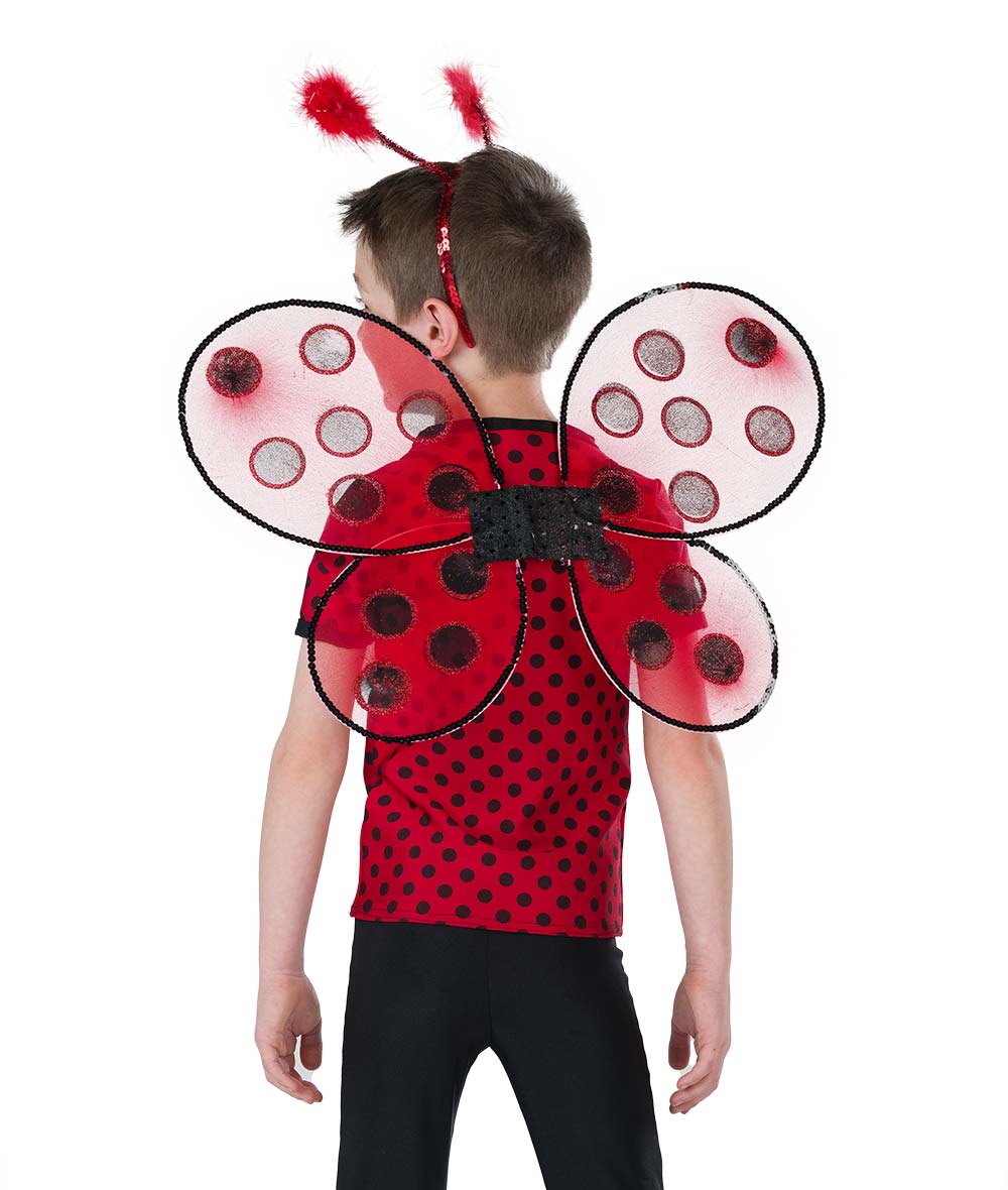 a-wish-come-true-you-are-ladybug-boy-top-media-1