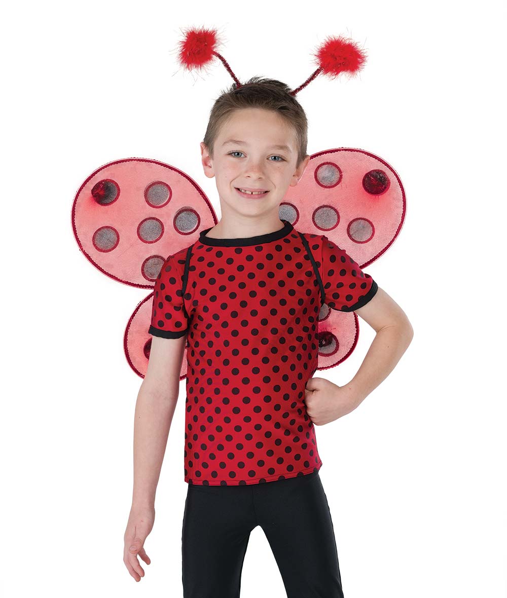 a-wish-come-true-you-are-ladybug-boy-top-media-2