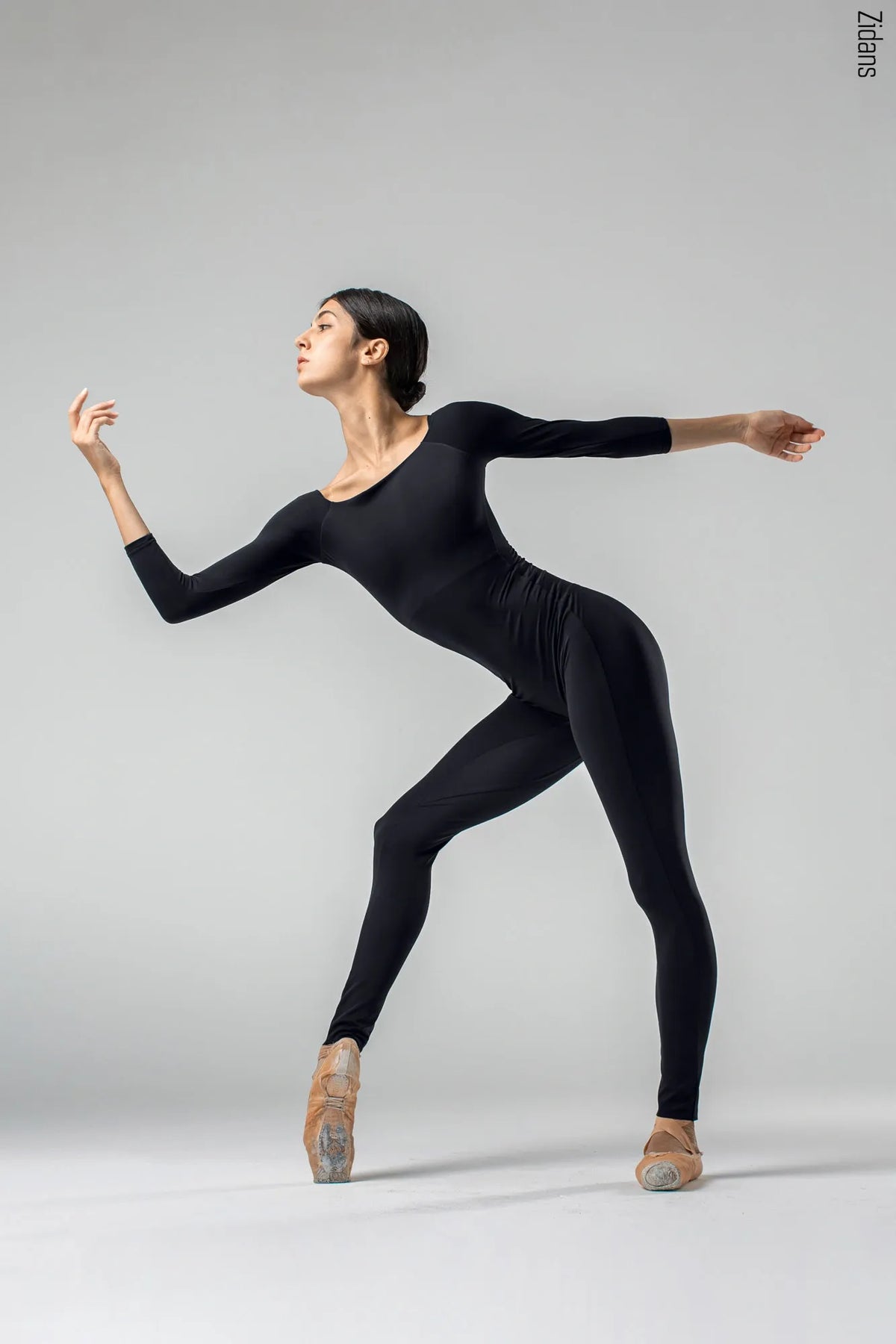 ジダンス 2スリーブ ユニタード ZIDANS 2-Sleeves Unitard - Black