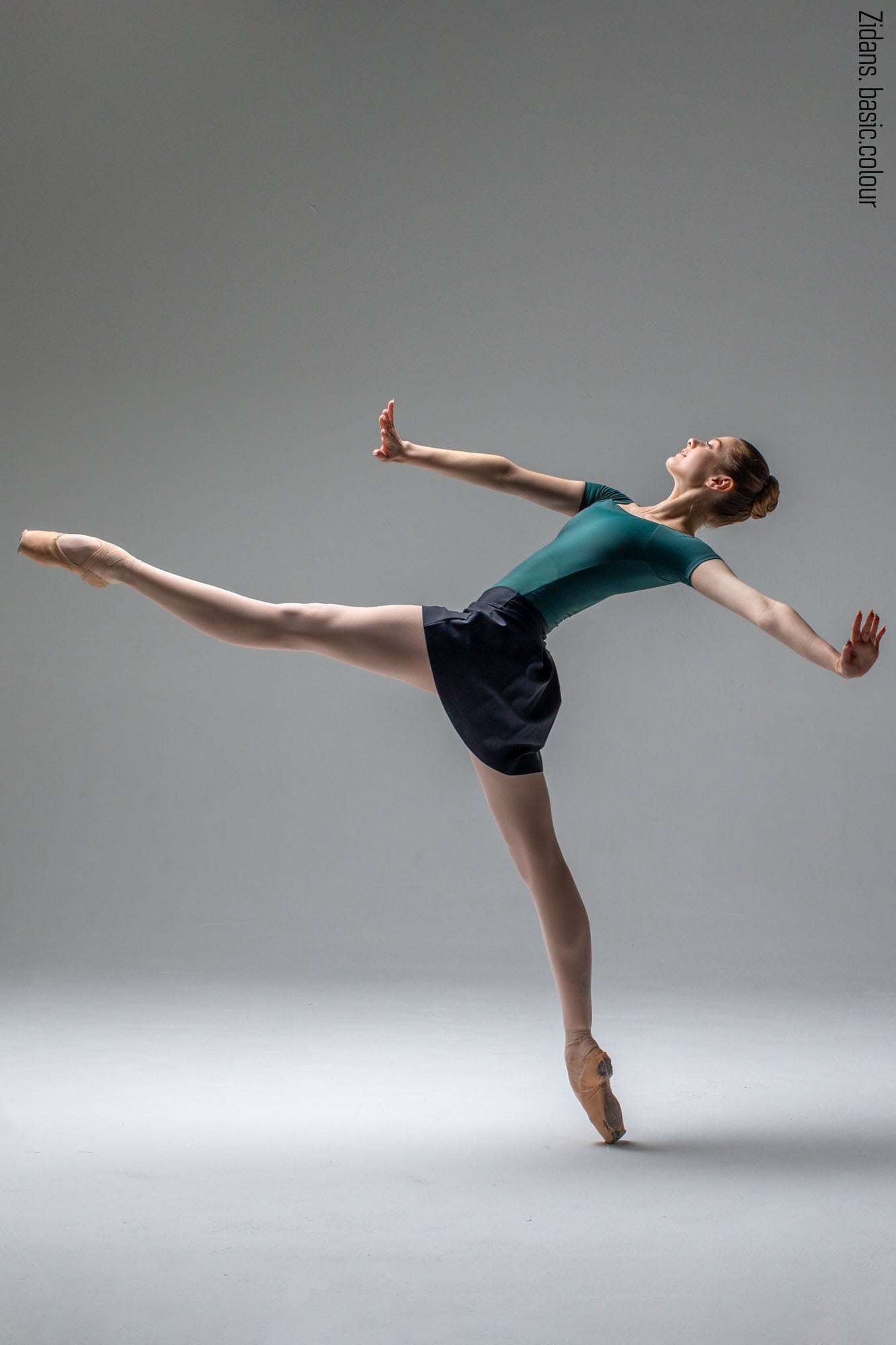 【新品/未開封】 Zidans バレエ レオタード Sサイズ Zidans ロシアのこだわりのバレエショップ、ジダンズのレオタード