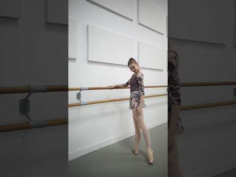 インターメッツォ 花柄プリントメッシュラップスカート（大人＆子供）Intermezzo Ballet CARRIE