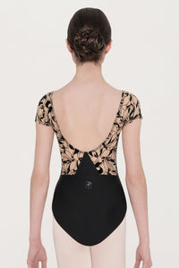 ウェアモア ゼノン